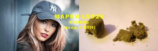 мдпв Кодинск