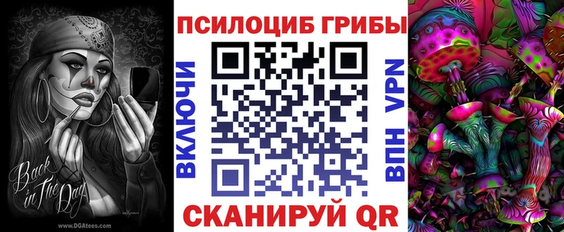 как найти   гидра tor  Галлюциногенные грибы Psilocybe  Шахты 